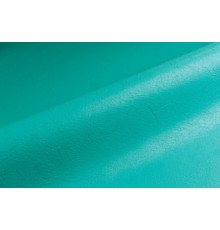 Лайнер ( Alkorplan RELIF) Зелена протковзкий/Caribbean Green Non-slip  з лаковим покриттям.1.8mm.1.65/25m