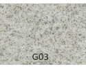 G03 