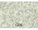 G06 